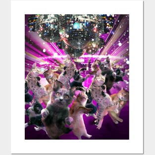 Disco Cats Dancing, Cat Dance, Funny Cute Posters and Art